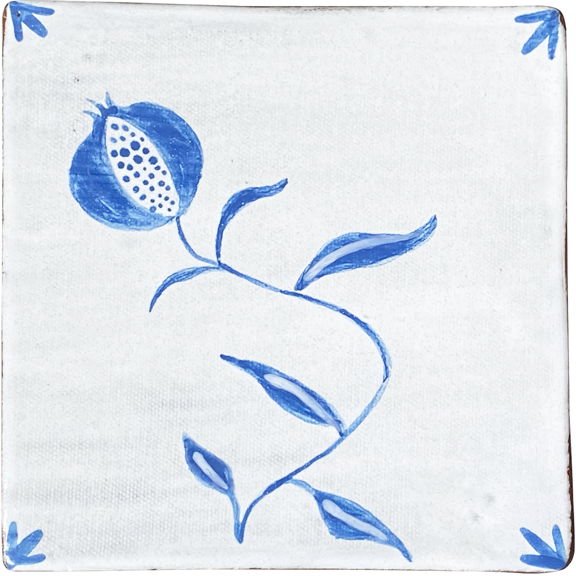 Granatapfel 10x10 cm